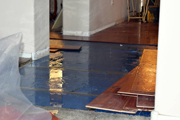 Professional Basement Water Removal technician working in Rugby, ND